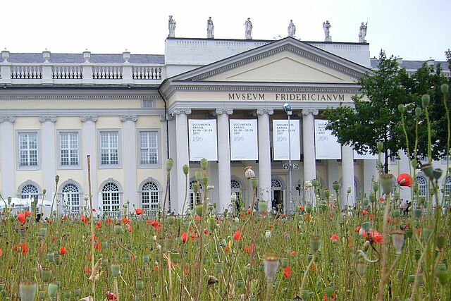 Documenta Kassel