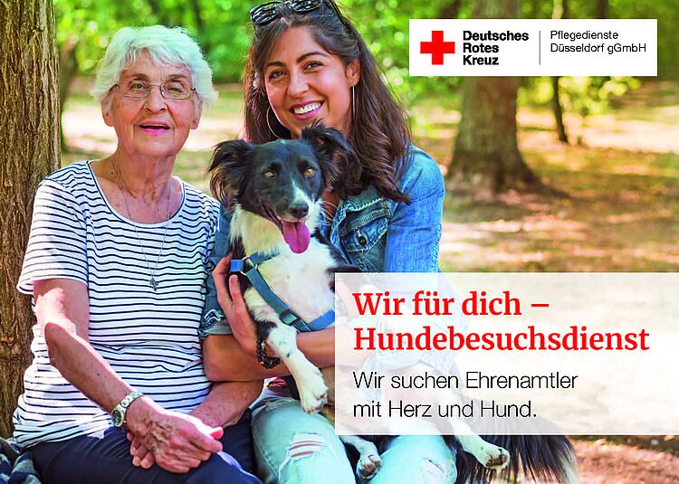 Postkarte des Hundebesuch Dienstes